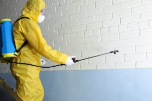 What are the good attributes of a professional pest control service provider?