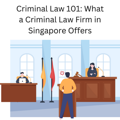    Criminal Law 101: What a Criminal Law Firm in Singapore Offers